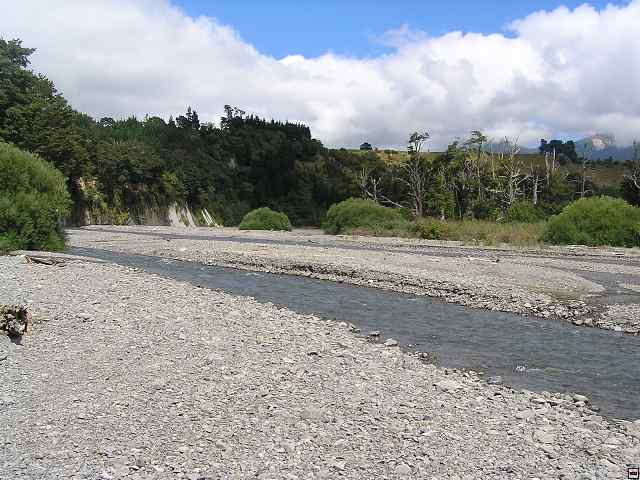 NZ leden-unor 2006 147.jpg